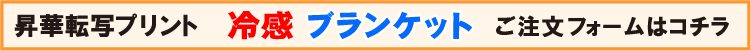 冷感ブランケット用注文フォーム