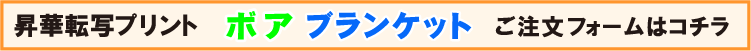 ボアブランケット用注文フォーム