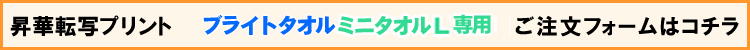 ブライトタオル（ミニタオル）用注文フォーム