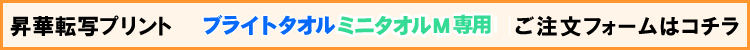 ブライトタオル（ミニタオル）用注文フォーム